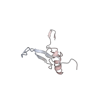 6645_5jus_SB_v1-4
Saccharomyces cerevisiae 80S ribosome bound with elongation factor eEF2-GDP-sordarin and Taura Syndrome Virus IRES, Structure III (mid-rotated 40S subunit)
