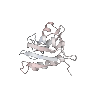 6645_5jus_TB_v1-4
Saccharomyces cerevisiae 80S ribosome bound with elongation factor eEF2-GDP-sordarin and Taura Syndrome Virus IRES, Structure III (mid-rotated 40S subunit)