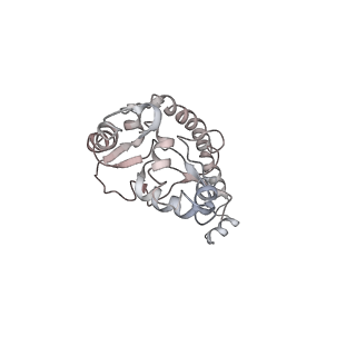 6645_5jus_T_v1-4
Saccharomyces cerevisiae 80S ribosome bound with elongation factor eEF2-GDP-sordarin and Taura Syndrome Virus IRES, Structure III (mid-rotated 40S subunit)
