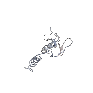 6645_5jus_UA_v1-4
Saccharomyces cerevisiae 80S ribosome bound with elongation factor eEF2-GDP-sordarin and Taura Syndrome Virus IRES, Structure III (mid-rotated 40S subunit)
