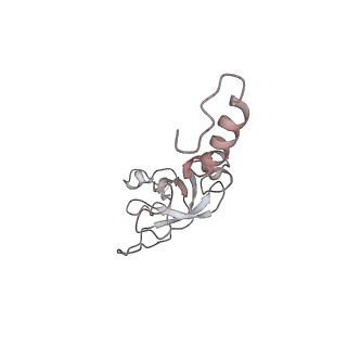 6645_5jus_UB_v1-4
Saccharomyces cerevisiae 80S ribosome bound with elongation factor eEF2-GDP-sordarin and Taura Syndrome Virus IRES, Structure III (mid-rotated 40S subunit)