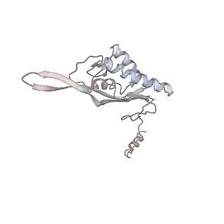 6645_5jus_U_v1-4
Saccharomyces cerevisiae 80S ribosome bound with elongation factor eEF2-GDP-sordarin and Taura Syndrome Virus IRES, Structure III (mid-rotated 40S subunit)