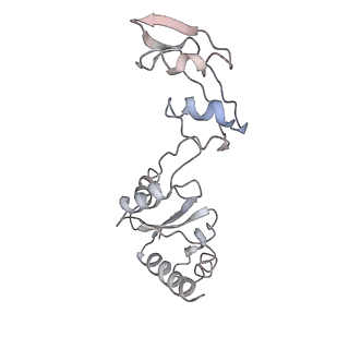 6645_5jus_VA_v1-4
Saccharomyces cerevisiae 80S ribosome bound with elongation factor eEF2-GDP-sordarin and Taura Syndrome Virus IRES, Structure III (mid-rotated 40S subunit)