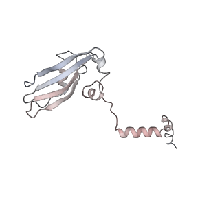 6645_5jus_VB_v1-4
Saccharomyces cerevisiae 80S ribosome bound with elongation factor eEF2-GDP-sordarin and Taura Syndrome Virus IRES, Structure III (mid-rotated 40S subunit)