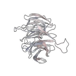 6645_5jus_WA_v1-4
Saccharomyces cerevisiae 80S ribosome bound with elongation factor eEF2-GDP-sordarin and Taura Syndrome Virus IRES, Structure III (mid-rotated 40S subunit)