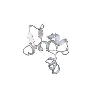 6645_5jus_WB_v1-4
Saccharomyces cerevisiae 80S ribosome bound with elongation factor eEF2-GDP-sordarin and Taura Syndrome Virus IRES, Structure III (mid-rotated 40S subunit)