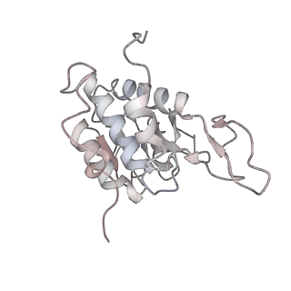 6645_5jus_XA_v1-4
Saccharomyces cerevisiae 80S ribosome bound with elongation factor eEF2-GDP-sordarin and Taura Syndrome Virus IRES, Structure III (mid-rotated 40S subunit)