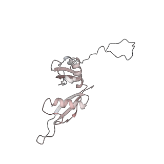 6645_5jus_X_v1-4
Saccharomyces cerevisiae 80S ribosome bound with elongation factor eEF2-GDP-sordarin and Taura Syndrome Virus IRES, Structure III (mid-rotated 40S subunit)