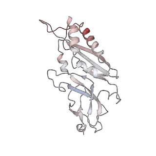 6645_5jus_YA_v1-4
Saccharomyces cerevisiae 80S ribosome bound with elongation factor eEF2-GDP-sordarin and Taura Syndrome Virus IRES, Structure III (mid-rotated 40S subunit)