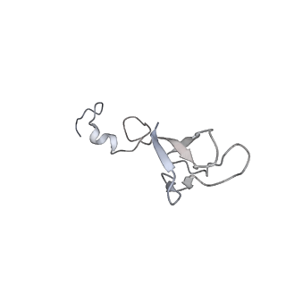 6645_5jus_YB_v1-4
Saccharomyces cerevisiae 80S ribosome bound with elongation factor eEF2-GDP-sordarin and Taura Syndrome Virus IRES, Structure III (mid-rotated 40S subunit)