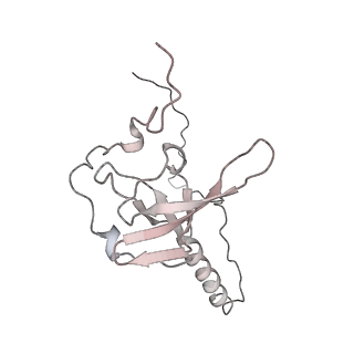 6645_5jus_Y_v1-4
Saccharomyces cerevisiae 80S ribosome bound with elongation factor eEF2-GDP-sordarin and Taura Syndrome Virus IRES, Structure III (mid-rotated 40S subunit)