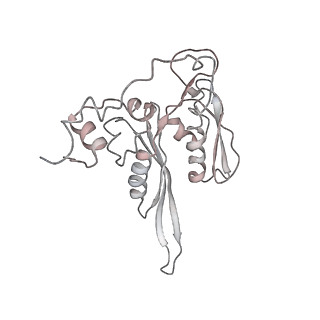 6645_5jus_ZA_v1-4
Saccharomyces cerevisiae 80S ribosome bound with elongation factor eEF2-GDP-sordarin and Taura Syndrome Virus IRES, Structure III (mid-rotated 40S subunit)
