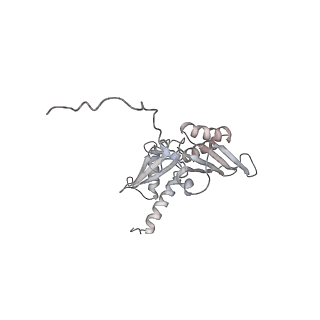6646_5jut_AB_v1-3
Saccharomyces cerevisiae 80S ribosome bound with elongation factor eEF2-GDP-sordarin and Taura Syndrome Virus IRES, Structure IV (almost non-rotated 40S subunit)