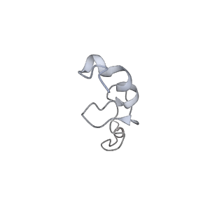 6646_5jut_AC_v1-3
Saccharomyces cerevisiae 80S ribosome bound with elongation factor eEF2-GDP-sordarin and Taura Syndrome Virus IRES, Structure IV (almost non-rotated 40S subunit)