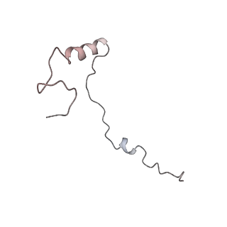 6646_5jut_BC_v1-3
Saccharomyces cerevisiae 80S ribosome bound with elongation factor eEF2-GDP-sordarin and Taura Syndrome Virus IRES, Structure IV (almost non-rotated 40S subunit)