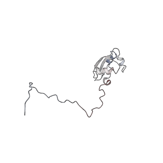 6646_5jut_CA_v1-3
Saccharomyces cerevisiae 80S ribosome bound with elongation factor eEF2-GDP-sordarin and Taura Syndrome Virus IRES, Structure IV (almost non-rotated 40S subunit)