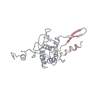 6646_5jut_CB_v1-3
Saccharomyces cerevisiae 80S ribosome bound with elongation factor eEF2-GDP-sordarin and Taura Syndrome Virus IRES, Structure IV (almost non-rotated 40S subunit)