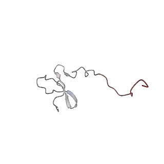 6646_5jut_CC_v1-3
Saccharomyces cerevisiae 80S ribosome bound with elongation factor eEF2-GDP-sordarin and Taura Syndrome Virus IRES, Structure IV (almost non-rotated 40S subunit)