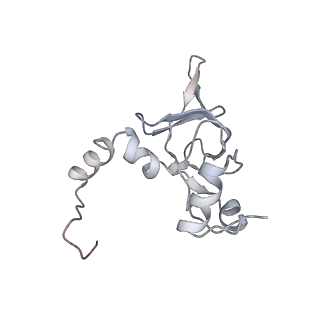6646_5jut_DA_v1-3
Saccharomyces cerevisiae 80S ribosome bound with elongation factor eEF2-GDP-sordarin and Taura Syndrome Virus IRES, Structure IV (almost non-rotated 40S subunit)
