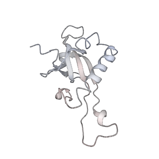 6646_5jut_EA_v1-3
Saccharomyces cerevisiae 80S ribosome bound with elongation factor eEF2-GDP-sordarin and Taura Syndrome Virus IRES, Structure IV (almost non-rotated 40S subunit)