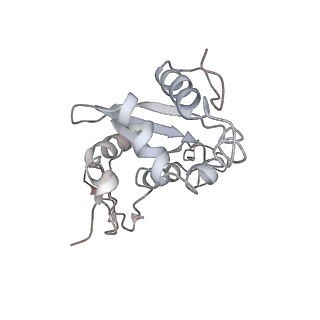 6646_5jut_EB_v1-3
Saccharomyces cerevisiae 80S ribosome bound with elongation factor eEF2-GDP-sordarin and Taura Syndrome Virus IRES, Structure IV (almost non-rotated 40S subunit)