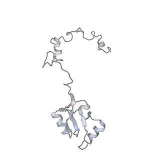 6646_5jut_FA_v1-3
Saccharomyces cerevisiae 80S ribosome bound with elongation factor eEF2-GDP-sordarin and Taura Syndrome Virus IRES, Structure IV (almost non-rotated 40S subunit)