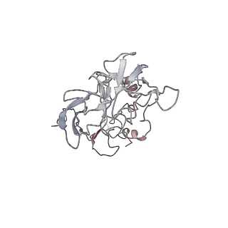 6646_5jut_F_v1-3
Saccharomyces cerevisiae 80S ribosome bound with elongation factor eEF2-GDP-sordarin and Taura Syndrome Virus IRES, Structure IV (almost non-rotated 40S subunit)