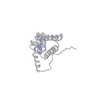 6646_5jut_GB_v1-3
Saccharomyces cerevisiae 80S ribosome bound with elongation factor eEF2-GDP-sordarin and Taura Syndrome Virus IRES, Structure IV (almost non-rotated 40S subunit)