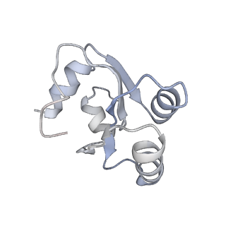 6646_5jut_HA_v1-3
Saccharomyces cerevisiae 80S ribosome bound with elongation factor eEF2-GDP-sordarin and Taura Syndrome Virus IRES, Structure IV (almost non-rotated 40S subunit)