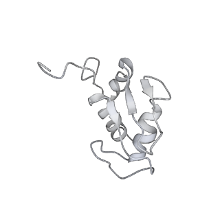 6646_5jut_HB_v1-3
Saccharomyces cerevisiae 80S ribosome bound with elongation factor eEF2-GDP-sordarin and Taura Syndrome Virus IRES, Structure IV (almost non-rotated 40S subunit)