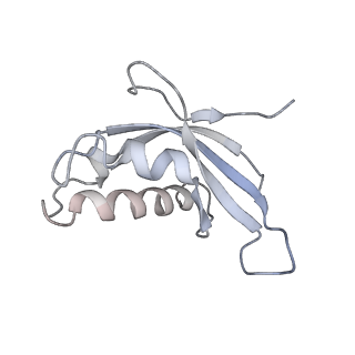 6646_5jut_IA_v1-3
Saccharomyces cerevisiae 80S ribosome bound with elongation factor eEF2-GDP-sordarin and Taura Syndrome Virus IRES, Structure IV (almost non-rotated 40S subunit)