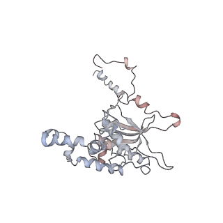 6646_5jut_I_v1-3
Saccharomyces cerevisiae 80S ribosome bound with elongation factor eEF2-GDP-sordarin and Taura Syndrome Virus IRES, Structure IV (almost non-rotated 40S subunit)