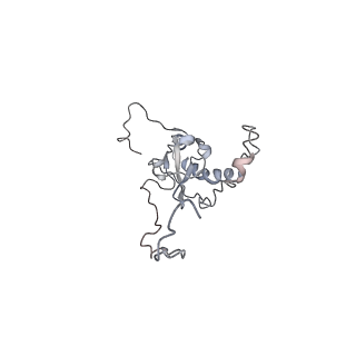 6646_5jut_J_v1-3
Saccharomyces cerevisiae 80S ribosome bound with elongation factor eEF2-GDP-sordarin and Taura Syndrome Virus IRES, Structure IV (almost non-rotated 40S subunit)