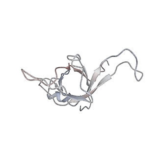 6646_5jut_KA_v1-3
Saccharomyces cerevisiae 80S ribosome bound with elongation factor eEF2-GDP-sordarin and Taura Syndrome Virus IRES, Structure IV (almost non-rotated 40S subunit)