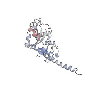 6646_5jut_K_v1-3
Saccharomyces cerevisiae 80S ribosome bound with elongation factor eEF2-GDP-sordarin and Taura Syndrome Virus IRES, Structure IV (almost non-rotated 40S subunit)