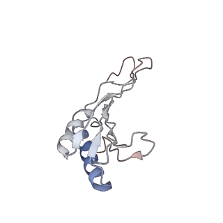 6646_5jut_LB_v1-3
Saccharomyces cerevisiae 80S ribosome bound with elongation factor eEF2-GDP-sordarin and Taura Syndrome Virus IRES, Structure IV (almost non-rotated 40S subunit)
