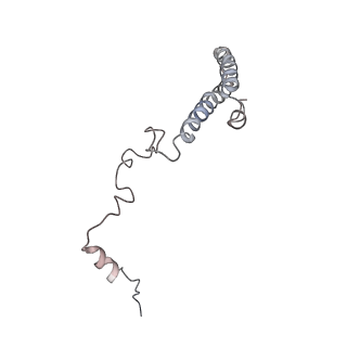6646_5jut_MA_v1-3
Saccharomyces cerevisiae 80S ribosome bound with elongation factor eEF2-GDP-sordarin and Taura Syndrome Virus IRES, Structure IV (almost non-rotated 40S subunit)