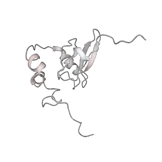 6646_5jut_MB_v1-3
Saccharomyces cerevisiae 80S ribosome bound with elongation factor eEF2-GDP-sordarin and Taura Syndrome Virus IRES, Structure IV (almost non-rotated 40S subunit)