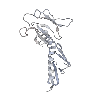 6646_5jut_M_v1-3
Saccharomyces cerevisiae 80S ribosome bound with elongation factor eEF2-GDP-sordarin and Taura Syndrome Virus IRES, Structure IV (almost non-rotated 40S subunit)
