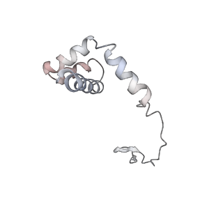 6646_5jut_NA_v1-3
Saccharomyces cerevisiae 80S ribosome bound with elongation factor eEF2-GDP-sordarin and Taura Syndrome Virus IRES, Structure IV (almost non-rotated 40S subunit)