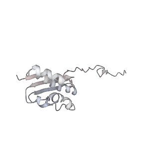 6646_5jut_NB_v1-3
Saccharomyces cerevisiae 80S ribosome bound with elongation factor eEF2-GDP-sordarin and Taura Syndrome Virus IRES, Structure IV (almost non-rotated 40S subunit)