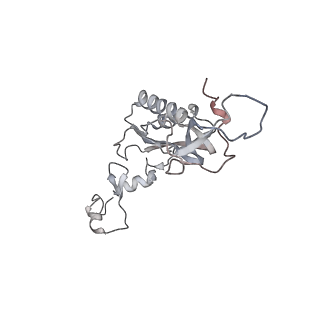 6646_5jut_N_v1-3
Saccharomyces cerevisiae 80S ribosome bound with elongation factor eEF2-GDP-sordarin and Taura Syndrome Virus IRES, Structure IV (almost non-rotated 40S subunit)