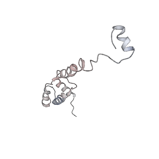 6646_5jut_OB_v1-3
Saccharomyces cerevisiae 80S ribosome bound with elongation factor eEF2-GDP-sordarin and Taura Syndrome Virus IRES, Structure IV (almost non-rotated 40S subunit)
