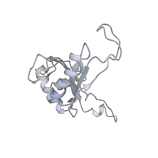 6646_5jut_O_v1-3
Saccharomyces cerevisiae 80S ribosome bound with elongation factor eEF2-GDP-sordarin and Taura Syndrome Virus IRES, Structure IV (almost non-rotated 40S subunit)