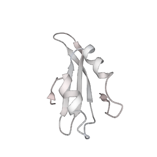 6646_5jut_PA_v1-3
Saccharomyces cerevisiae 80S ribosome bound with elongation factor eEF2-GDP-sordarin and Taura Syndrome Virus IRES, Structure IV (almost non-rotated 40S subunit)