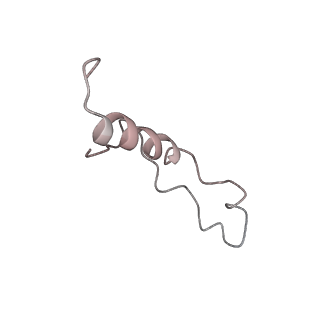 6646_5jut_QA_v1-3
Saccharomyces cerevisiae 80S ribosome bound with elongation factor eEF2-GDP-sordarin and Taura Syndrome Virus IRES, Structure IV (almost non-rotated 40S subunit)