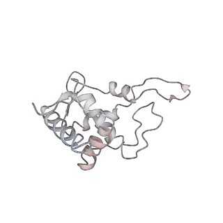 6646_5jut_QB_v1-3
Saccharomyces cerevisiae 80S ribosome bound with elongation factor eEF2-GDP-sordarin and Taura Syndrome Virus IRES, Structure IV (almost non-rotated 40S subunit)