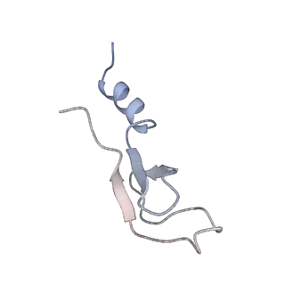 6646_5jut_RA_v1-3
Saccharomyces cerevisiae 80S ribosome bound with elongation factor eEF2-GDP-sordarin and Taura Syndrome Virus IRES, Structure IV (almost non-rotated 40S subunit)
