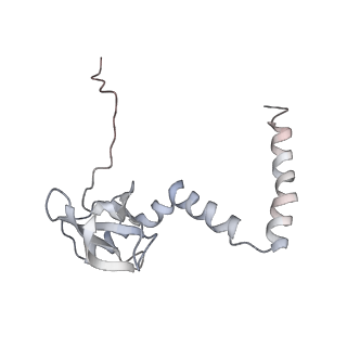 6646_5jut_R_v1-3
Saccharomyces cerevisiae 80S ribosome bound with elongation factor eEF2-GDP-sordarin and Taura Syndrome Virus IRES, Structure IV (almost non-rotated 40S subunit)