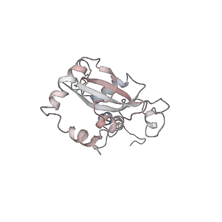 6646_5jut_S_v1-3
Saccharomyces cerevisiae 80S ribosome bound with elongation factor eEF2-GDP-sordarin and Taura Syndrome Virus IRES, Structure IV (almost non-rotated 40S subunit)